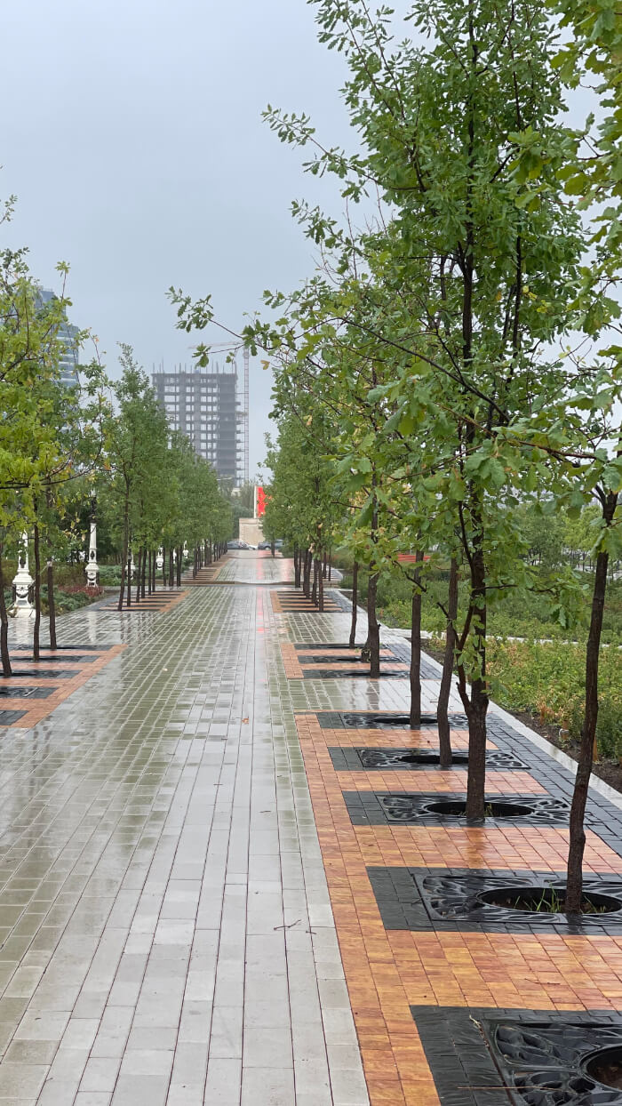 Приствольная решетка для дерева ZKING CRUST 1.2х1.2м Черная в Минске фото